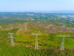 关于人平易近网聘请聘请英才告白办事合做加盟